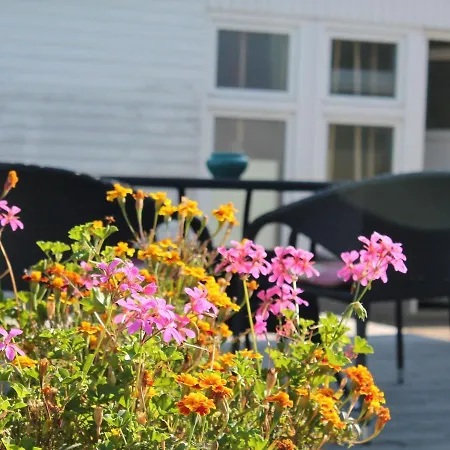 Cozy In With Beach Nearby Apartment *